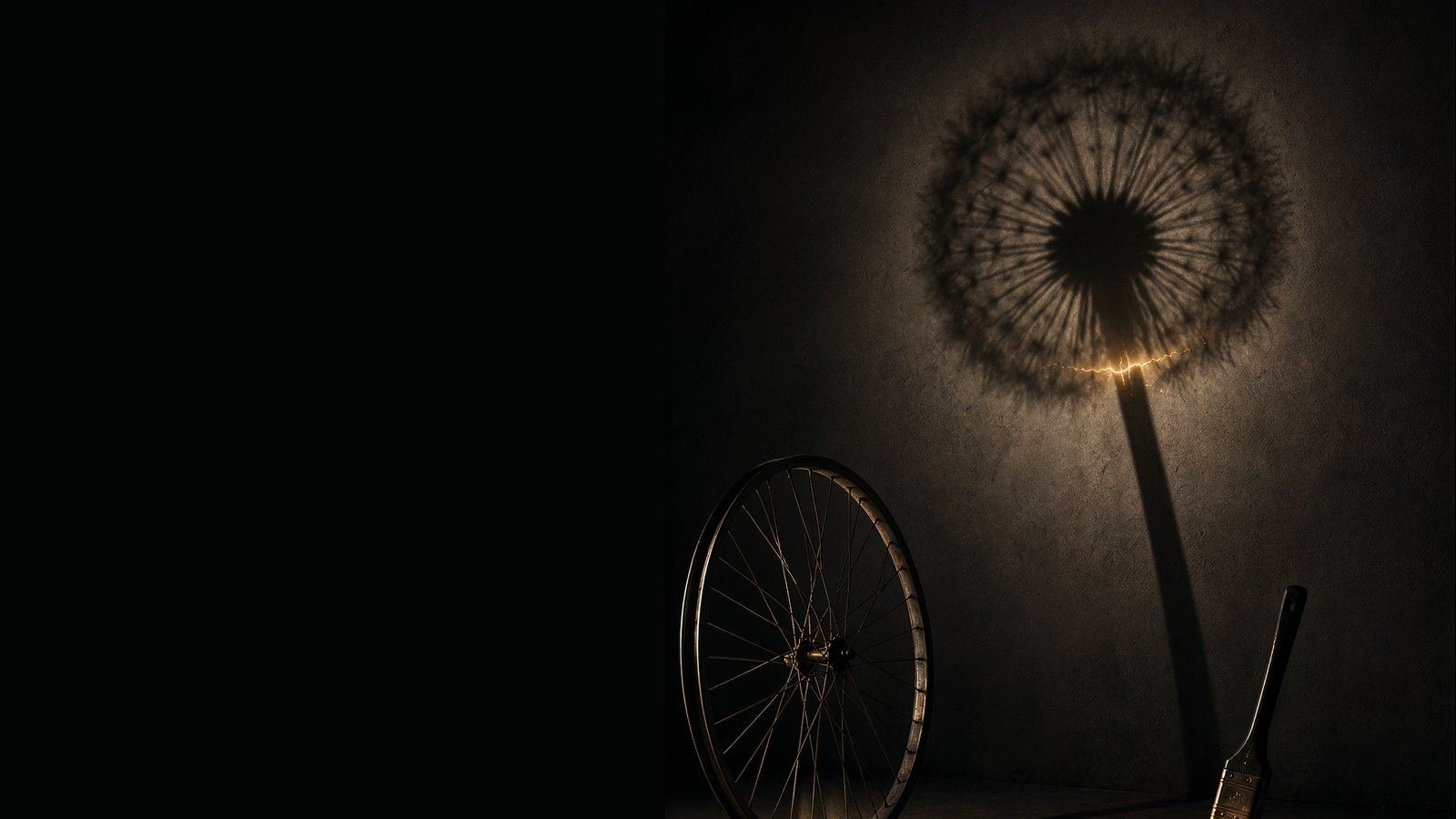 A bicycle wheel and a lamp casting a dandelion